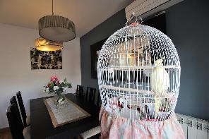 Comedor